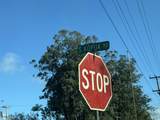  Ohia Ave - Photo 2