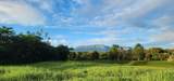 5835 Kahiliholo Rd - Photo 3
