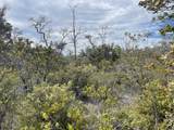  Hukilau Dr - Photo 6