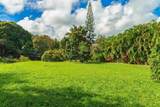 3610 Moloaa Rd - Photo 9