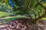 3610 Moloaa Rd - Photo 12