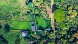 3610 Moloaa Rd - Photo 4