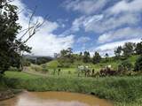 6630 Kipapa Rd - Photo 16