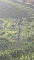 6630 Kipapa Rd - Photo 17