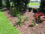 1667 Kilauea Ave - Photo 5