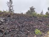  Marlin Blvd - Photo 1