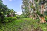 29-613 Chin Chuck Rd - Photo 16