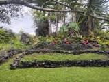 13-1128 Malama St - Photo 26