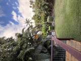 466 Luakaha St - Photo 21