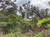  King Kamehameha Blvd - Photo 13