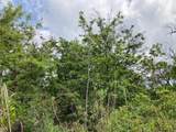  King Kamehameha Blvd - Photo 15