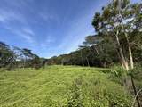  Kamalu Rd - Photo 12