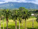  Kamalu Rd - Photo 8