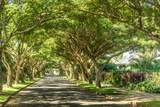 2833 Ke Alaula Street - Photo 6