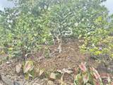 82-1091 Kinue Rd - Photo 9