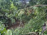 6335-C Opaekaa Rd - Photo 22