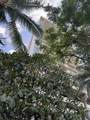 1925 Kalakaua Ave - Photo 7