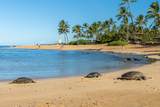 1901 Poipu Rd - Photo 21