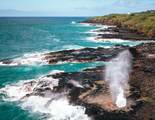 1901 Poipu Rd - Photo 22