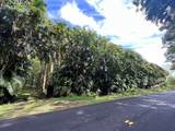 27-920 Old Mamalahoa Highway - Photo 16