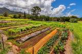 6235 Koolau Rd - Photo 2