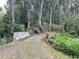 44-3342 Kula Kahiko Rd - Photo 11