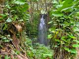 29-3794 Hawaii Belt Rd - Photo 21