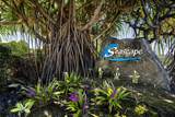 73-1101 Nuuanu Pl - Photo 12