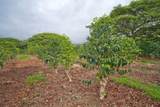 77-6223 Kaumalumalu Dr - Photo 15