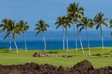 68-1050 Mauna Lani Point Dr - Photo 2