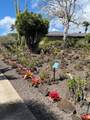 2253 Poipu Rd - Photo 21