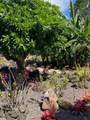 2253 Poipu Rd - Photo 22