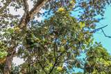 16-1046 Opeapea Rd - Photo 19