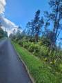 16-1793 Road 1 (Uhini Ana) - Photo 4
