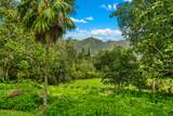 597 Puuopae Rd - Photo 4