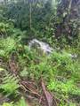 1360 Kaumana Dr - Photo 27