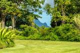 Hanalei Plantation Rd - Photo 12