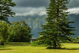  Hanalei Plantation Rd - Photo 5