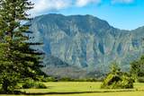  Hanalei Plantation Rd - Photo 6