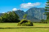  Hanalei Plantation Rd - Photo 7