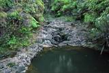 32-640 Piha Kahuku Rd - Photo 6