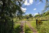 17-4794 Ike Onipaa Rd - Photo 1