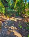 173 Opio Rd - Photo 7
