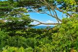2775 Ohana Aina Pl - Photo 3