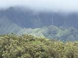 6630 Kipapa Rd - Photo 9