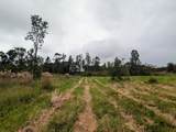 17-4794 Ike Onipaa Rd - Photo 6