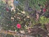 92-9247 Catamaran Lane - Photo 17