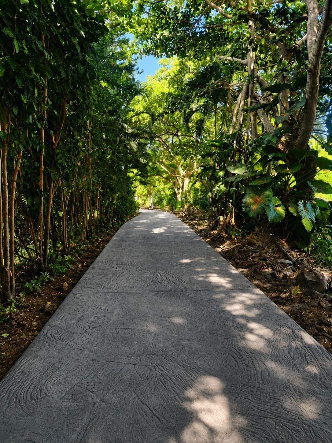 https://bt-photos.global.ssl.fastly.net/hawaii/orig_boomver_11_732027-1.jpg