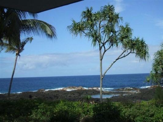 2405 Kalanianaole Ave - Photo 1