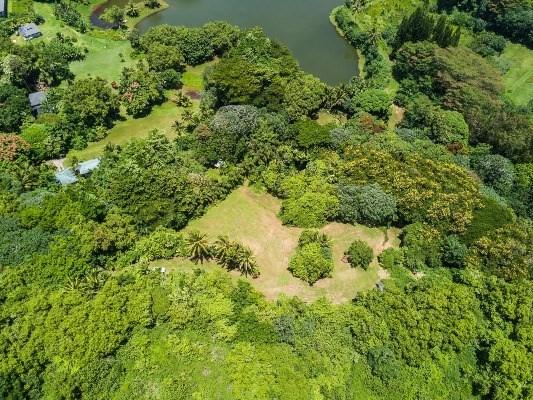 4621 Waiakalua St - Photo 1